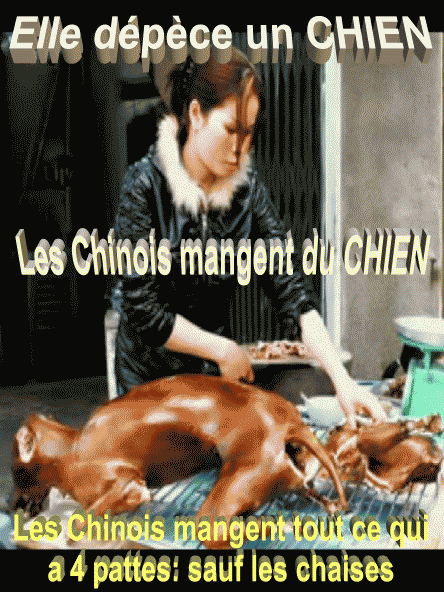 76678486z-chinoise-depece-un-chien-gif.gif